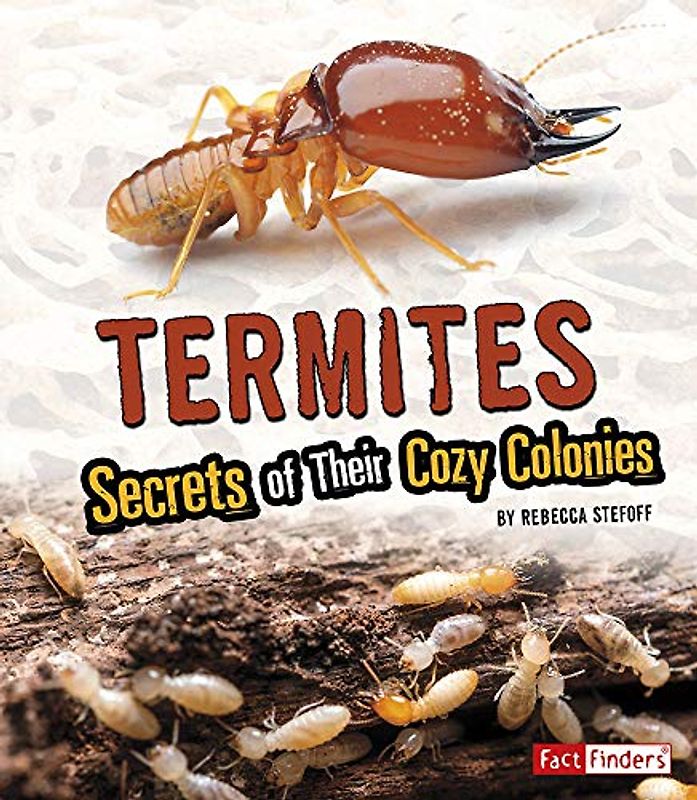 Termites