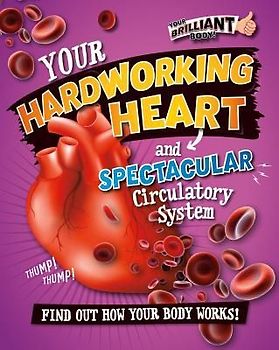 Your Hardworking Heart and Spectacular Circulatory System