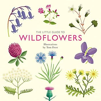 Little Guide to Wildflowers