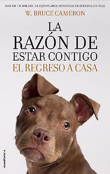 La razón de estar contigo : el regreso a casa