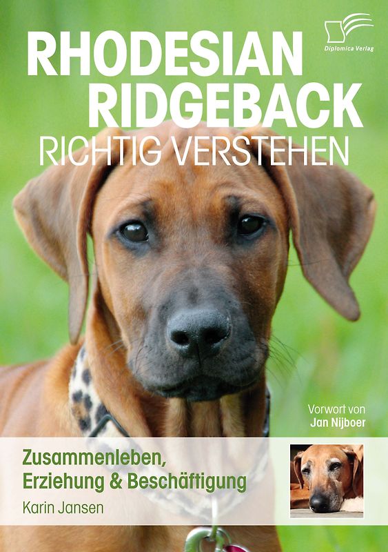 Rhodesian Ridgeback richtig verstehen: Zusammenleben, Erziehung & Beschäftigung