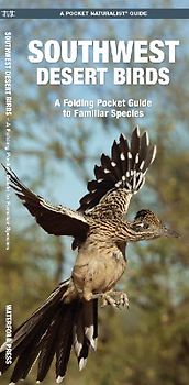 Southwest Desert Birds