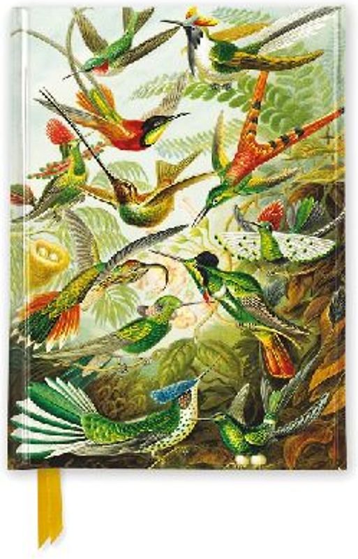 Ernst Haeckel: Hummingbirds (Foiled Pocket Journal)