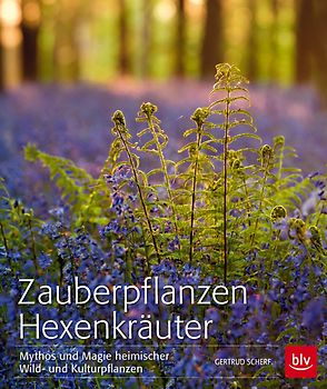 Zauberpflanzen Hexenkräuter