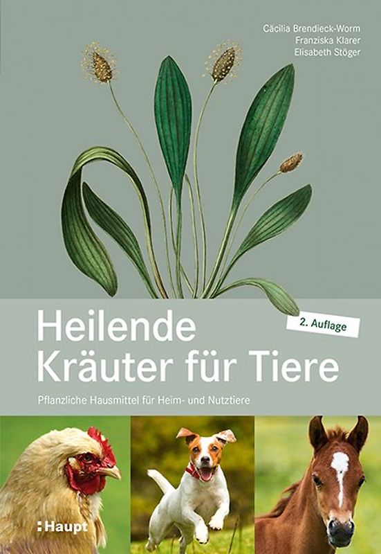 Heilende Kräuter für Tiere