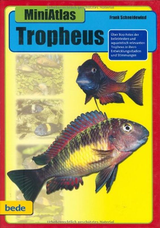 MiniAtlas Tropheus