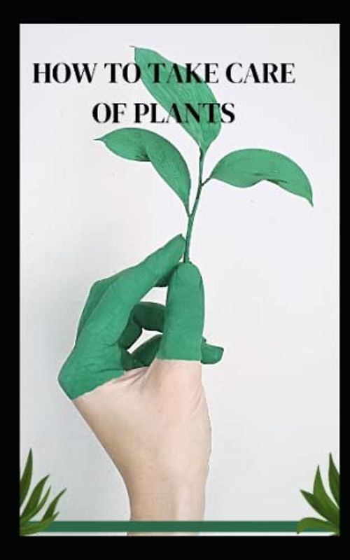 How to take care of plants