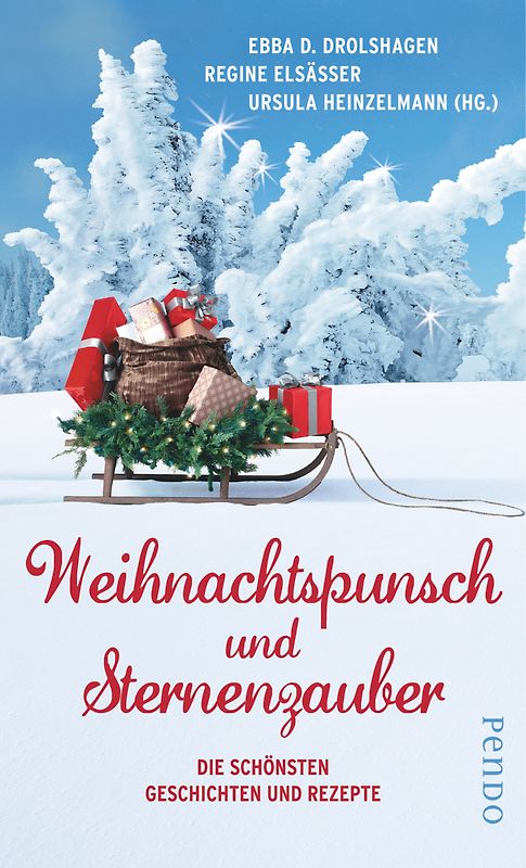 Weihnachtspunsch und Sternenzauber