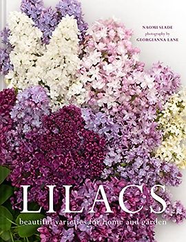 Lilacs