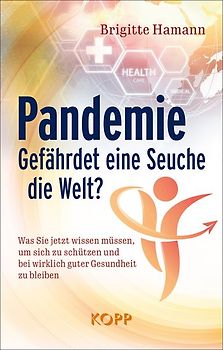 Pandemie: Gefährdet eine Seuche die Welt?