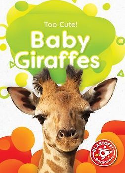 Baby Giraffes