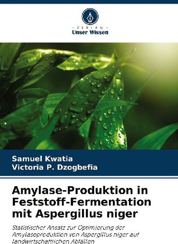 Amylase-Produktion in Feststoff-Fermentation mit Aspergillus niger