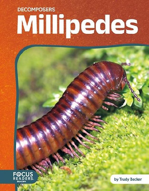 Millipedes