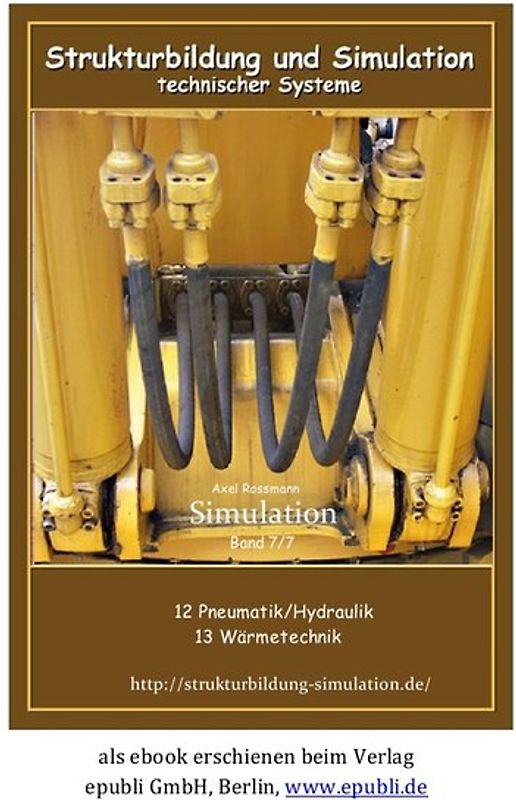 Strukturbildung und Simulation Band 7