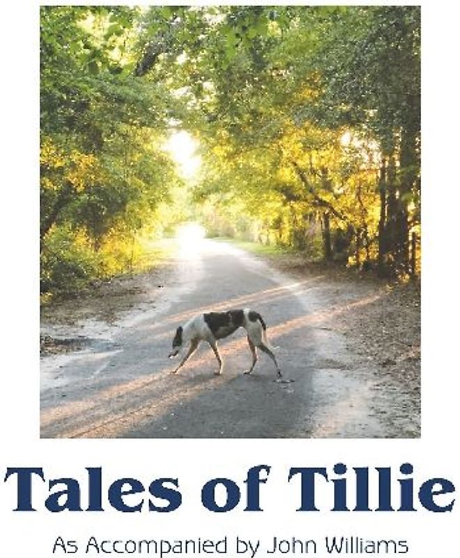 Tales of Tillie