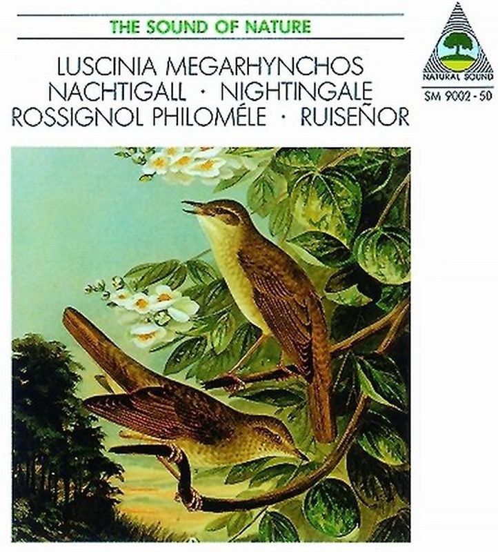 Nachtigall