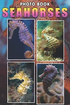 Seahorses Photo Book: Prime Images Of Seahorses For Relaxation And Relieving Stress | Perfect Gift For Special Occasions