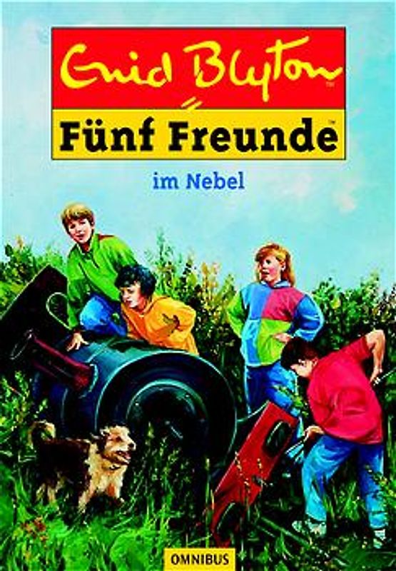Fünf Freunde. Spannende Geschichten für Jungen und Mädchen / Fünf Freunde im Nebel