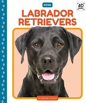 Labrador Retrievers