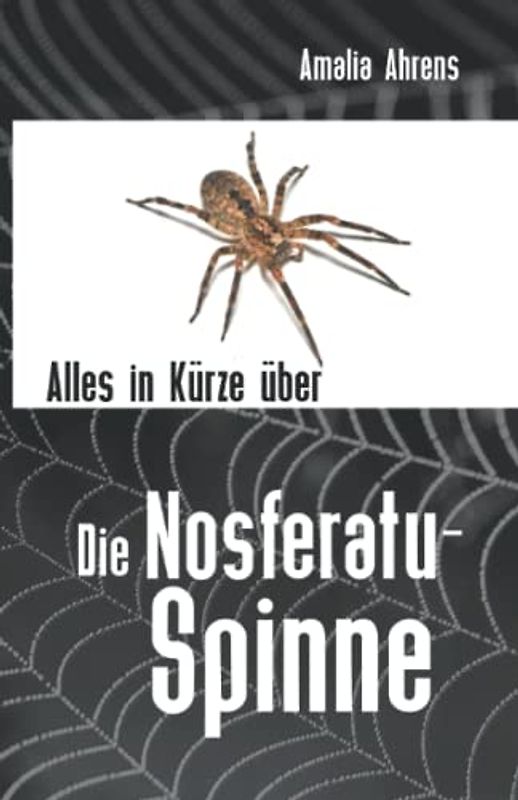 Alles in Kürze über die Nosferatu-Spinne