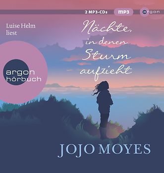 Nächte, in denen Sturm aufzieht