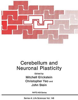 Streuung und Strukturen