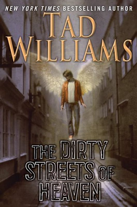 The Dirty Streets of Heaven: Volume One of Bobby Dollar - Tad Williams