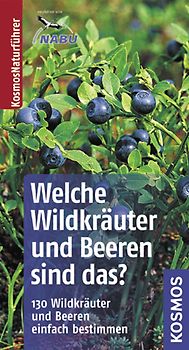 Welche Wildkräuter und Beeren sind das?