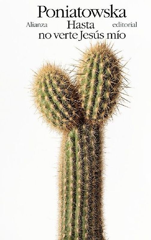 Hasta no verte Jesús mío