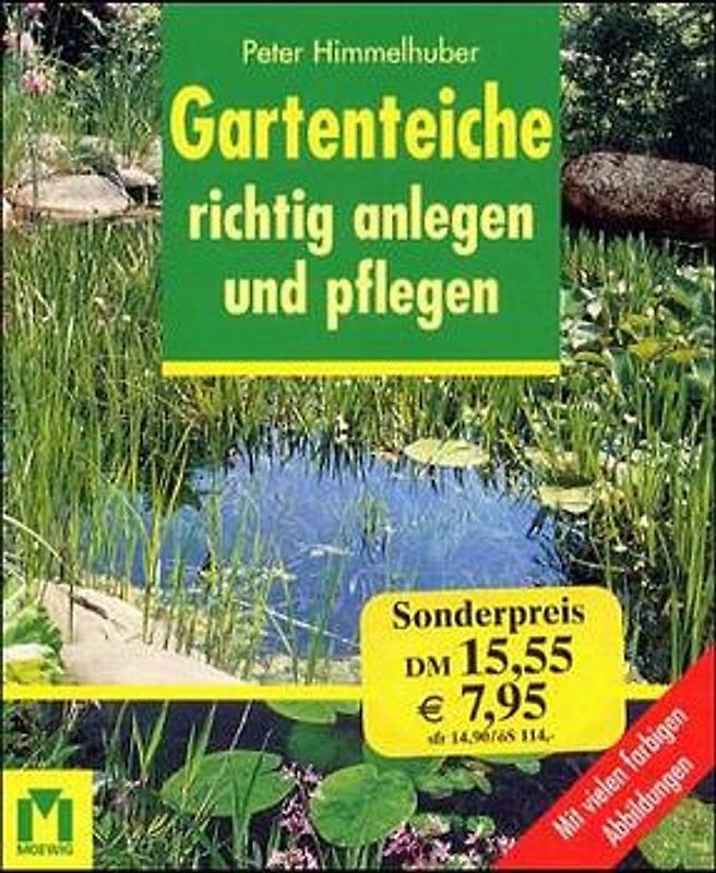 Gartenteich richtig anlegen und pflegen