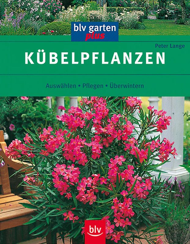 Kübelpflanzen