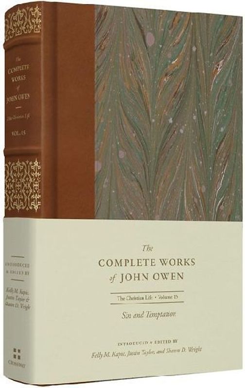 Sin and Temptation (Volume 15)