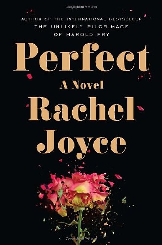 Perfect: A Novel - Joyce, Rachel