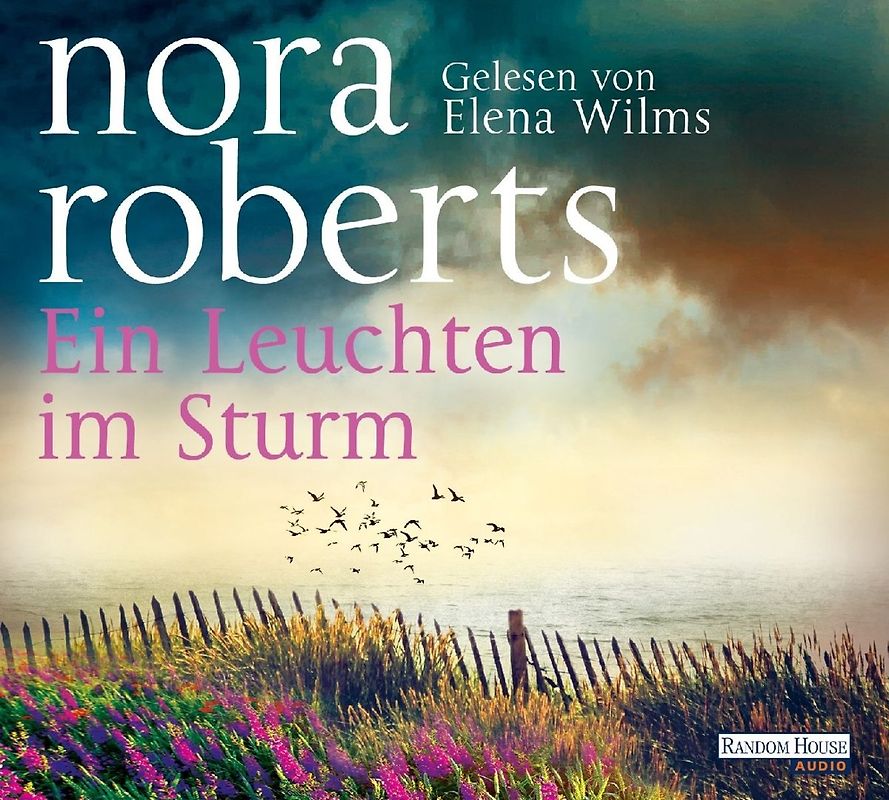 Ein Leuchten im Sturm