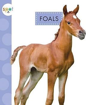 Foals