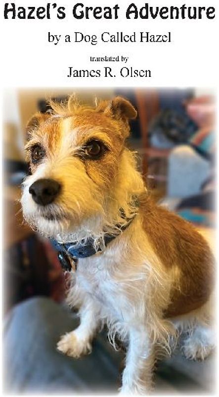 Hazel's Great Adventure