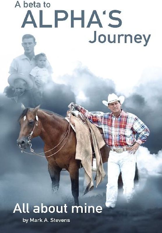 A Beta To Alphas Journey All About Mine