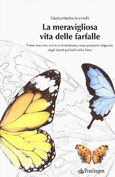 La meravigliosa vita delle farfalle. Come nascono, come si trasformano, cosa possiamo imparare dagli insetti più belli della Terra