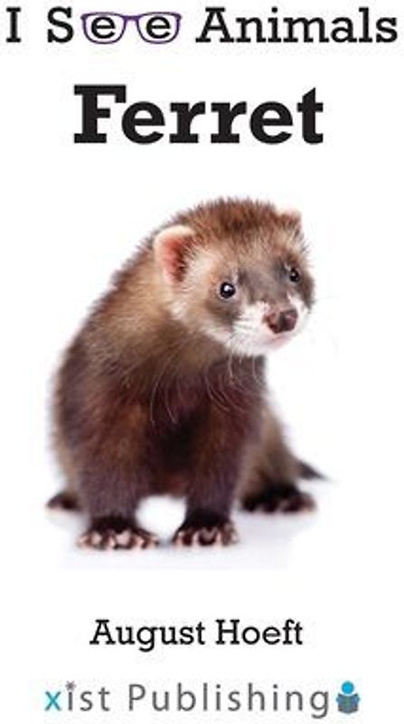 Ferret