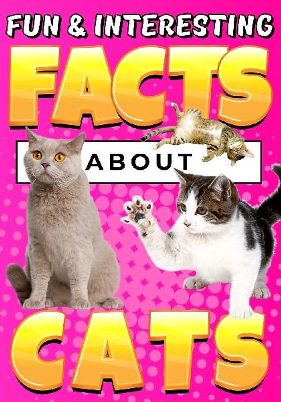 Fun & Interesting Facts About Cats