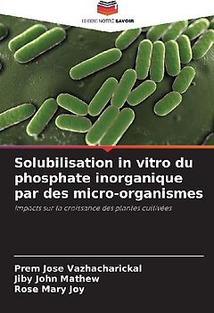 Solubilisation in vitro du phosphate inorganique par des micro-organismes