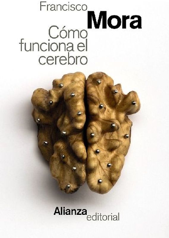 Cómo funciona el cerebro