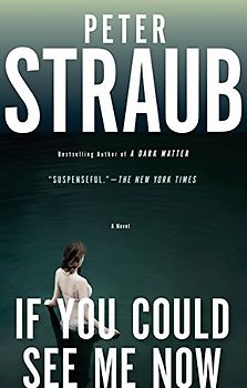 If You Could See Me Now