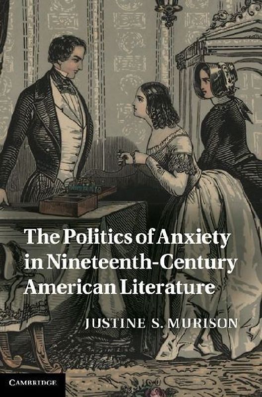 The Politics of Anxiety in Nineteenth-Century American Literature