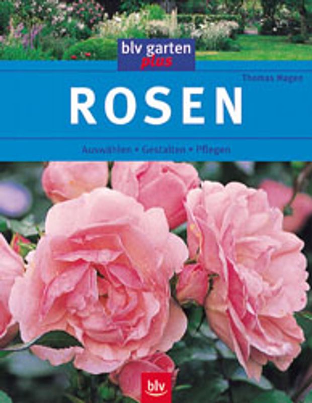 Rosen