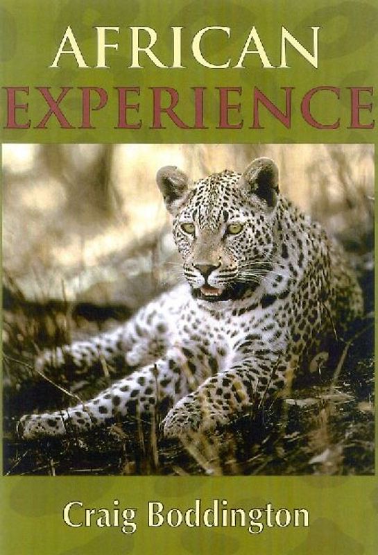 African Experience