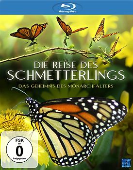 Die Reise des Schmetterlings - Das Geheimnis des Monarchfalters Blu-ray Disc