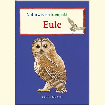 Naturwissen kompakt: Eule