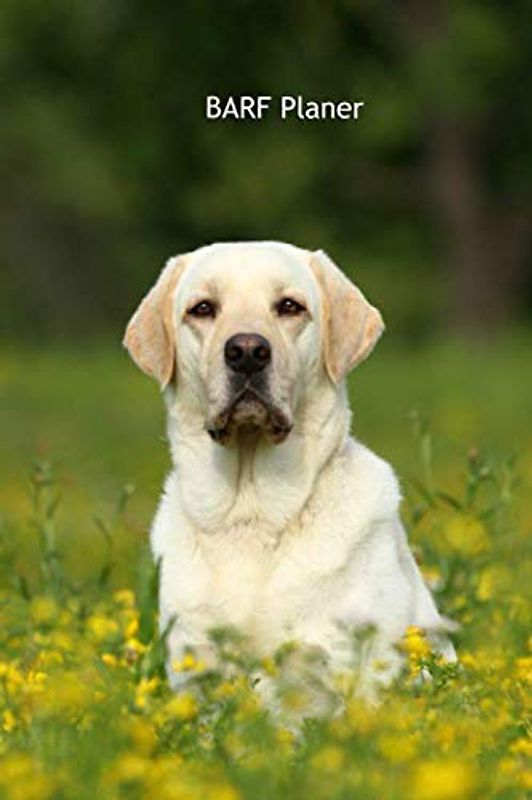 BARF Planer: für Deinen Labrador Retriever - mit Vorlagen zum eintragen der Mahlzeiten, Softcover, 120Seiten (Labrador Retriever in blond - ... Krankenakte, BARF Planer und Welpentagebuch)