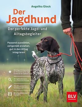 Der Jagdhund – perfekter Jagd- und Alltagsbegleiter